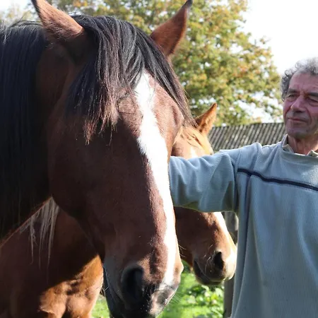 Casa de Campo Roulotte Spacieuse Au Coeur D'ecouves - Animaux Acceptes - Fr-1-497-130