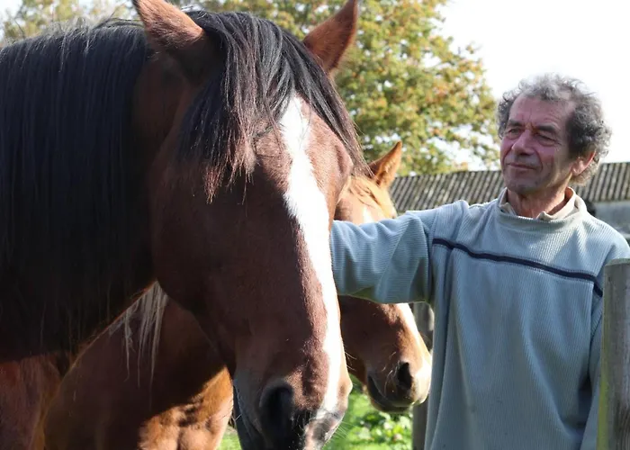 Casa de Férias Roulotte Spacieuse Au Coeur D'ecouves - Animaux Acceptes - Fr-1-497-130